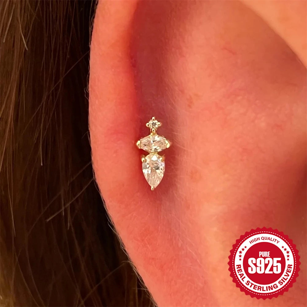 CANNER 1PC 925 Sterling Silver Crown Horse Eye Zircon Heart Flat Head Cartilage Piercing Stud Earring For Women Claasic Earring